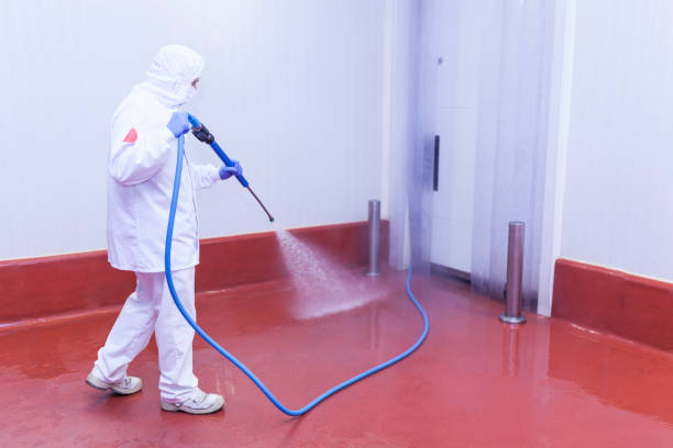 Reliable Lugoff, SC Pressure Washing Services Solutions