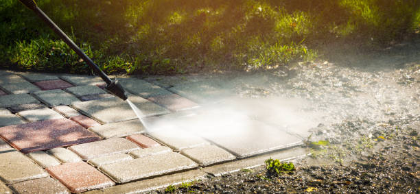 Best Dumpster Area Cleaning  in Lugoff, SC
